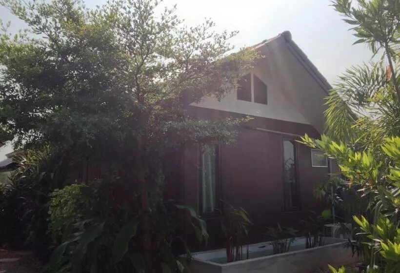 فندق Jim Guesthouse