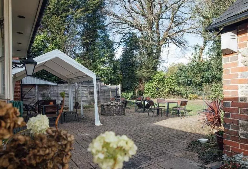 Отель The Jolly Drover