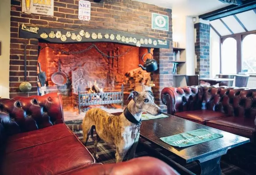 Отель The Jolly Drover