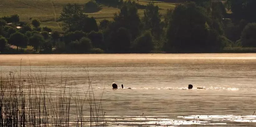 Отель Turnersee