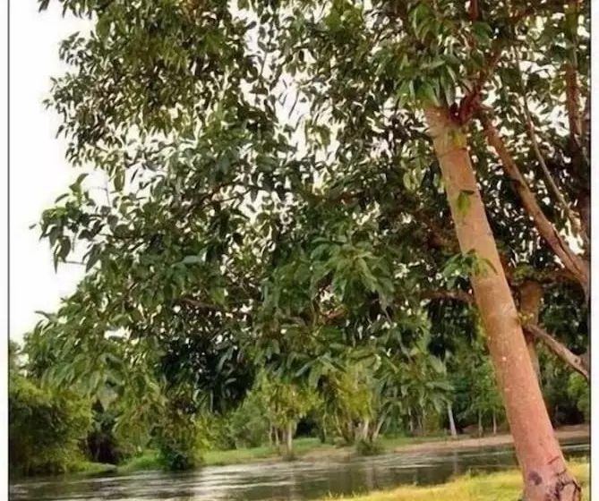 Hotel Worawee Resort & Spa