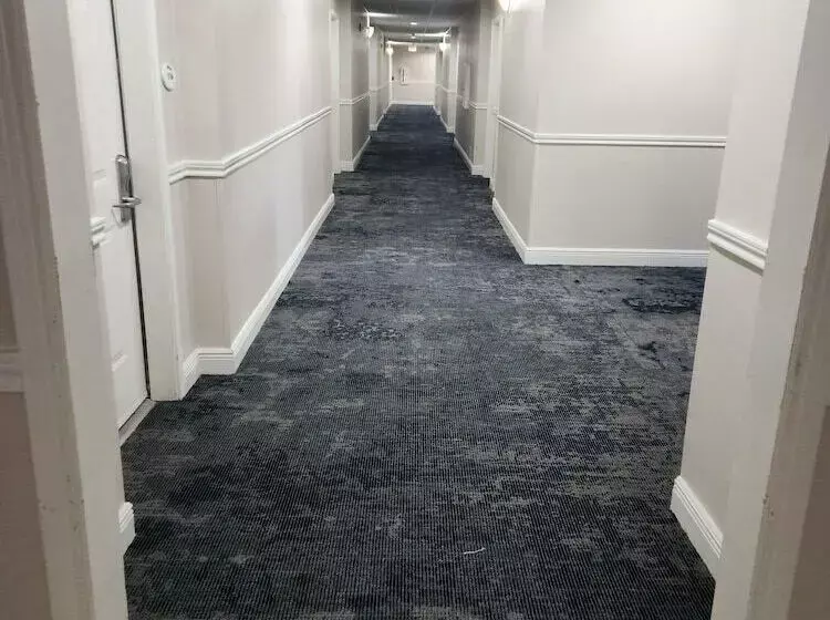 ホテル Baymont By Wyndham Houston Brookhollow