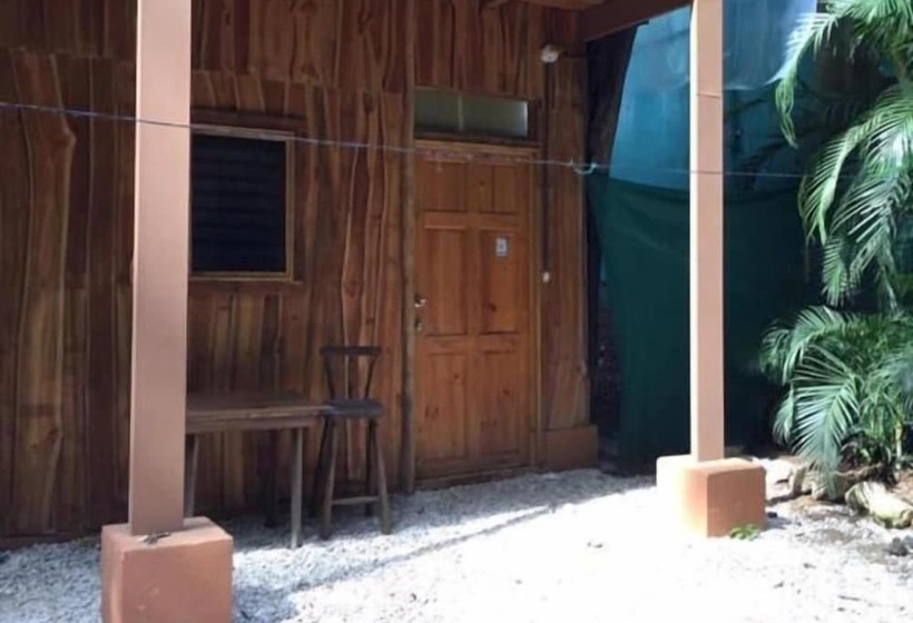 هتل Burnt Toast Surf Camp Hostel