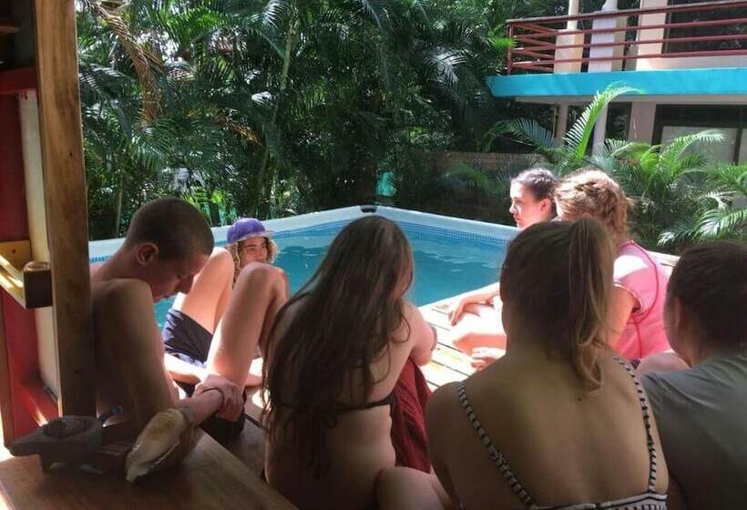 هتل Burnt Toast Surf Camp Hostel