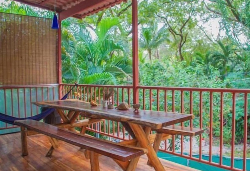 هتل Burnt Toast Surf Camp Hostel