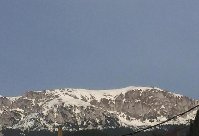 ペンション Vila Emage