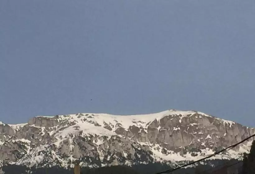 ペンション Vila Emage