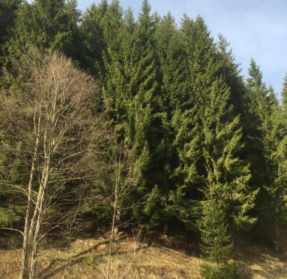 ペンション Vila Emage