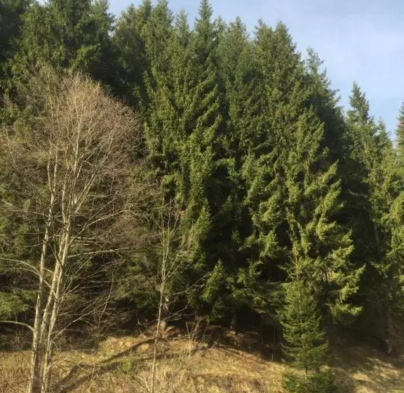 ペンション Vila Emage