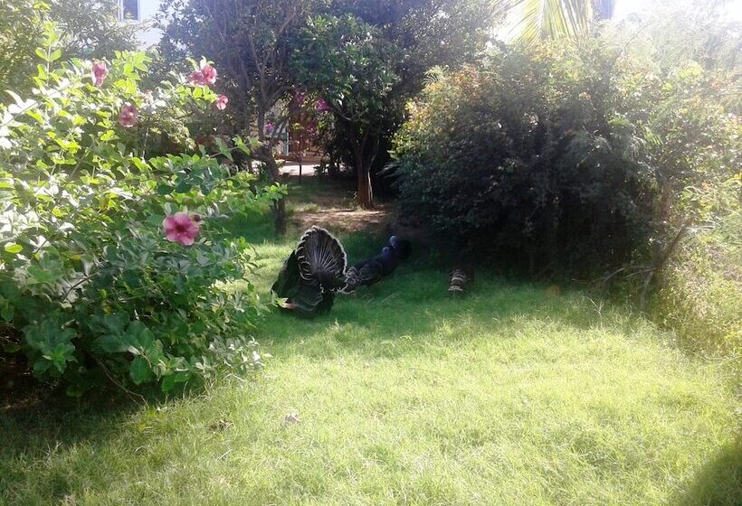 پانسیون Chez Ronald Guest House