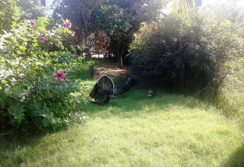 پانسیون Chez Ronald Guest House