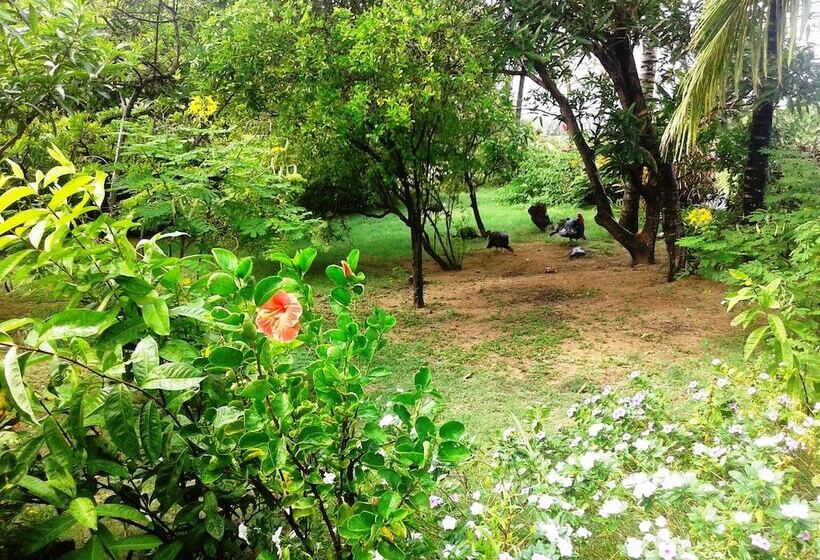 پانسیون Chez Ronald Guest House