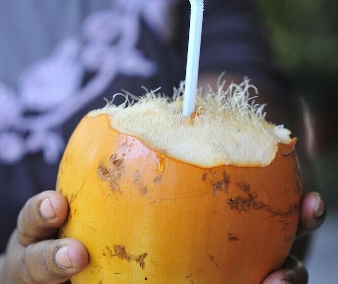 پانسیون Chez Ronald Guest House