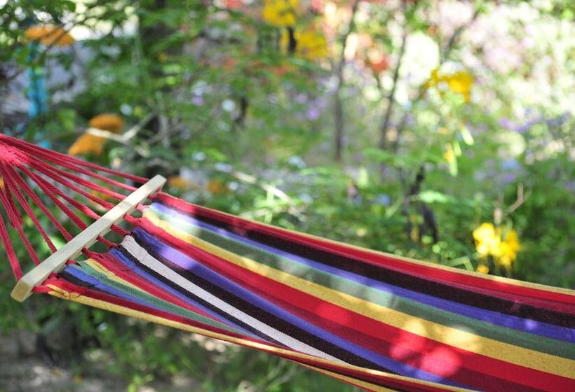 پانسیون Chez Ronald Guest House