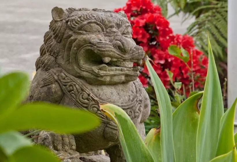 Amber Court Motel Whakatane