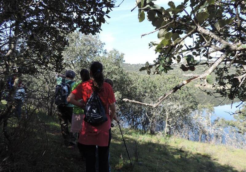 Apartamento Barbancho