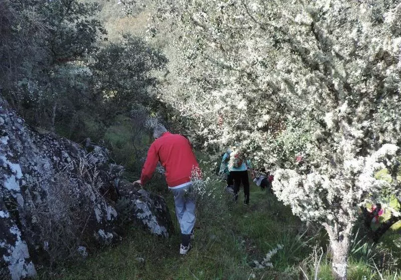 Apartamento Barbancho