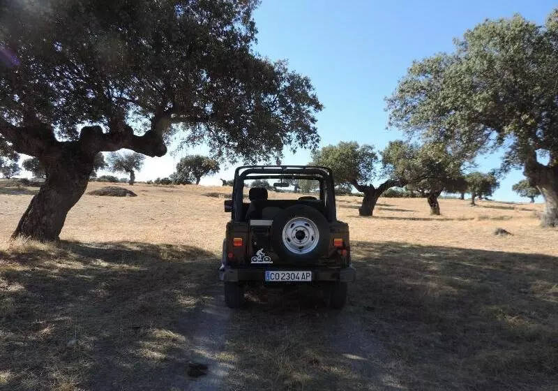 Apartamento Barbancho