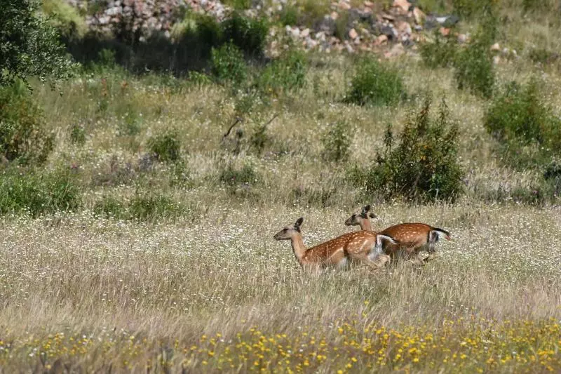 Apartamento Barbancho