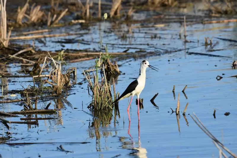 Apartamento Barbancho