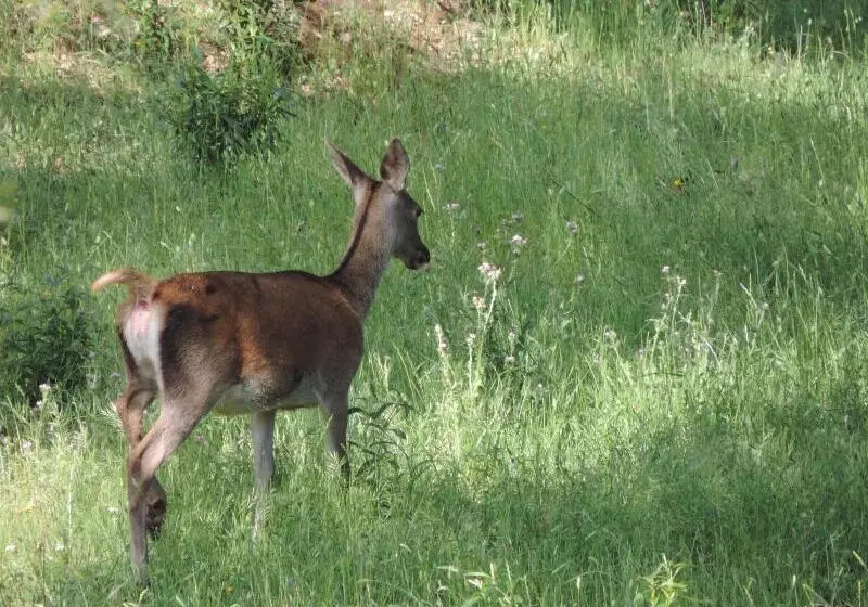Apartamento Barbancho