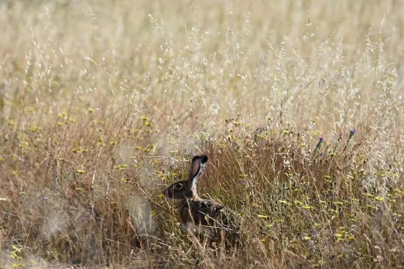 Apartamento Barbancho