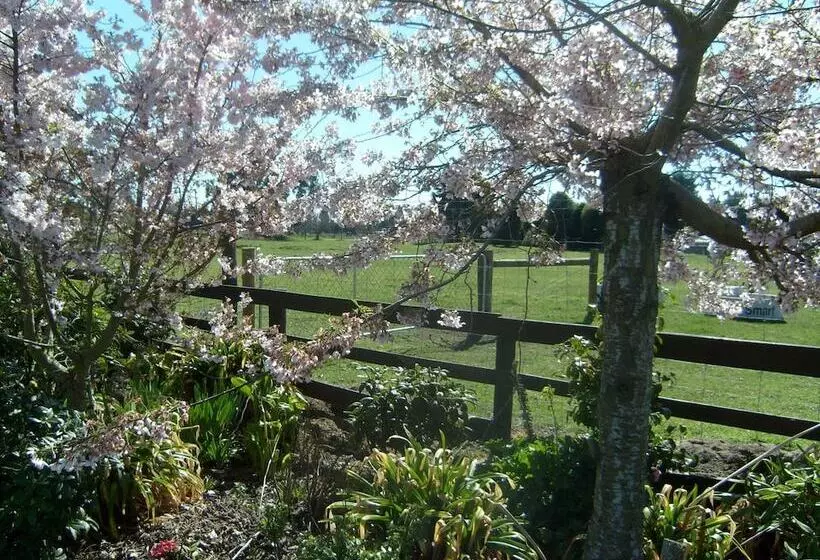 تختخواب و صبحانه Maples On Harewood