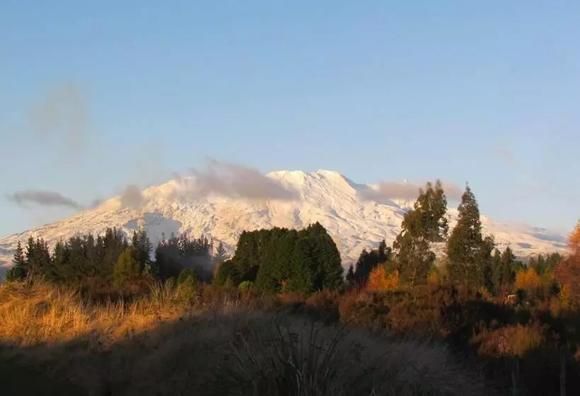 ベッドアンドブレックファースト Tongariro Suites