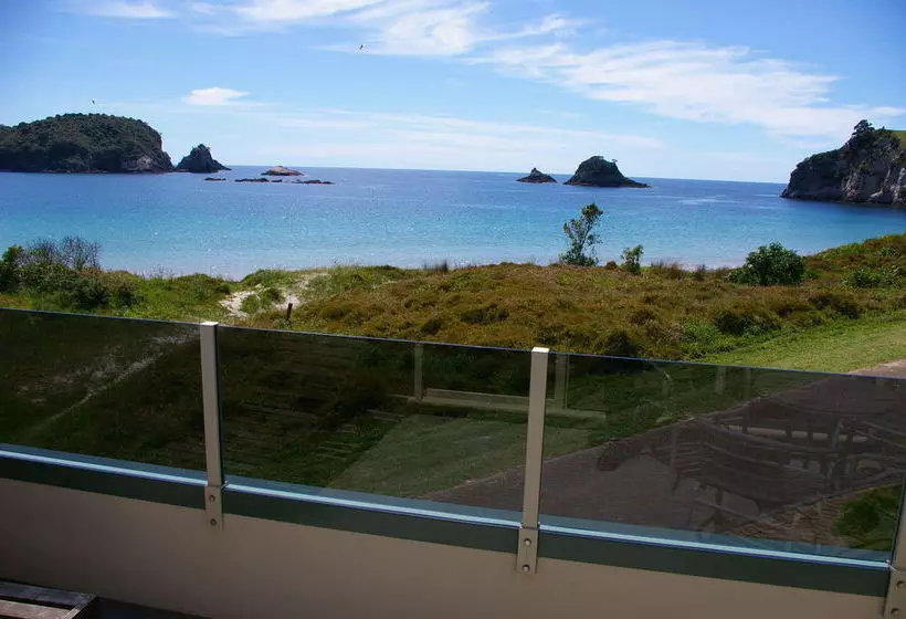 酒店 Hahei Beach Resort