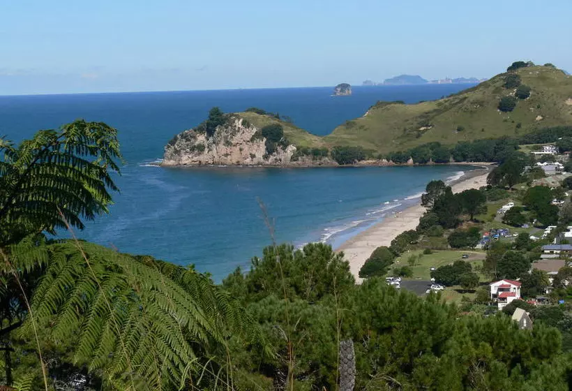 酒店 Hahei Beach Resort