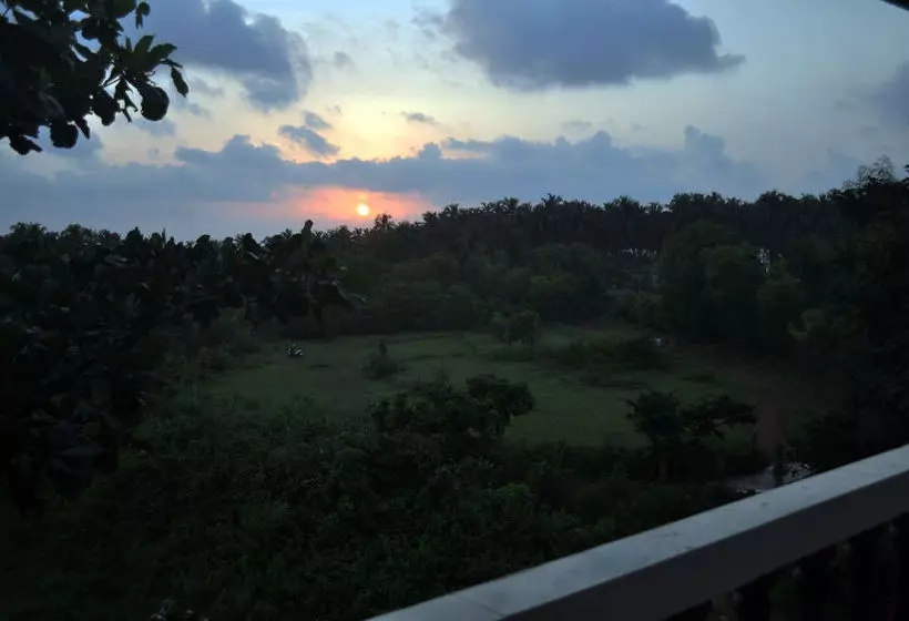 Hotel Oasis Beach Resort