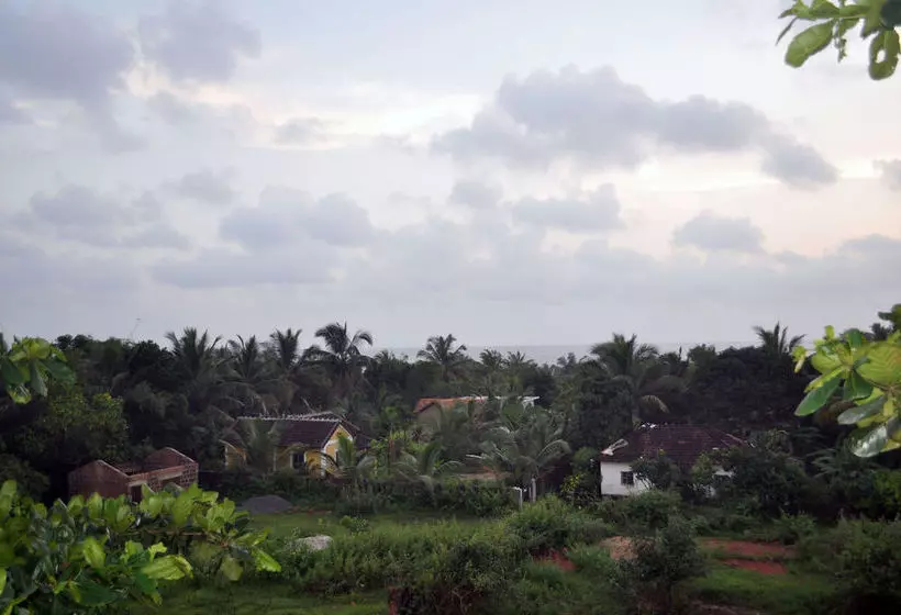 Hotel Oasis Beach Resort