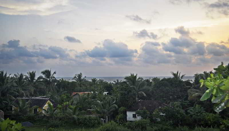 Hotel Oasis Beach Resort