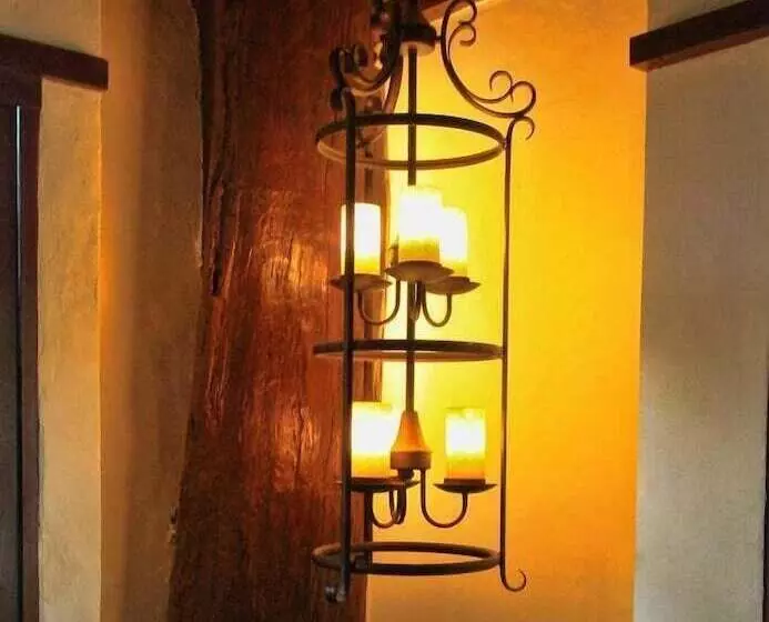 Отель Travelbee Heritage Inn