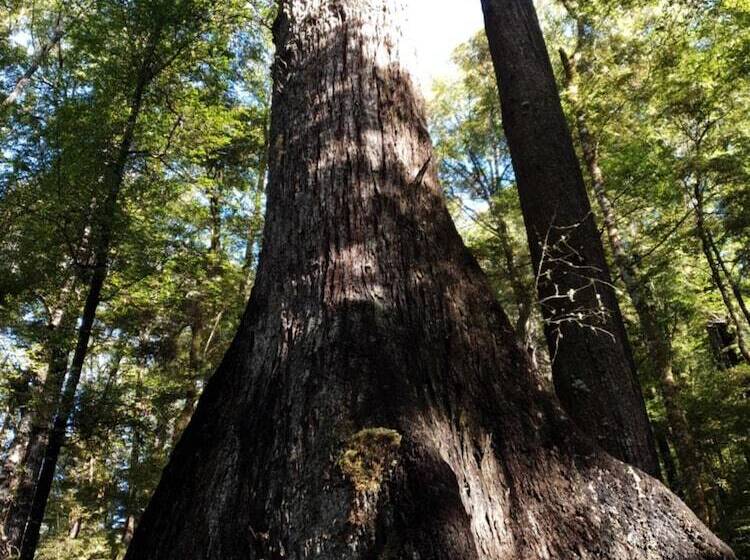 Off The Beaten Trail Accommodation & Bike Tours