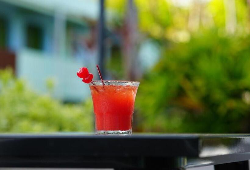 Palm Garden Hotel Barbados