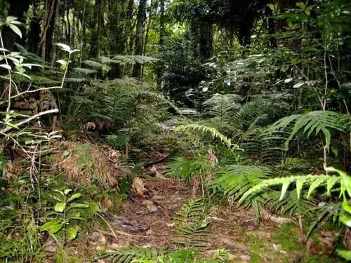 膳宿费 Keriwin House