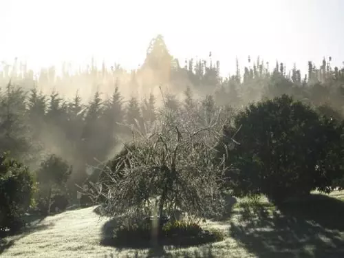 膳宿费 Keriwin House