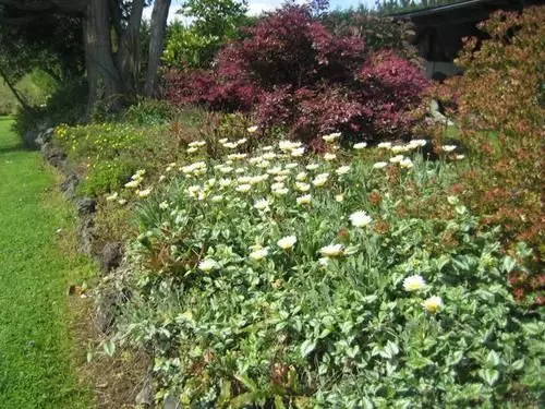 膳宿费 Keriwin House