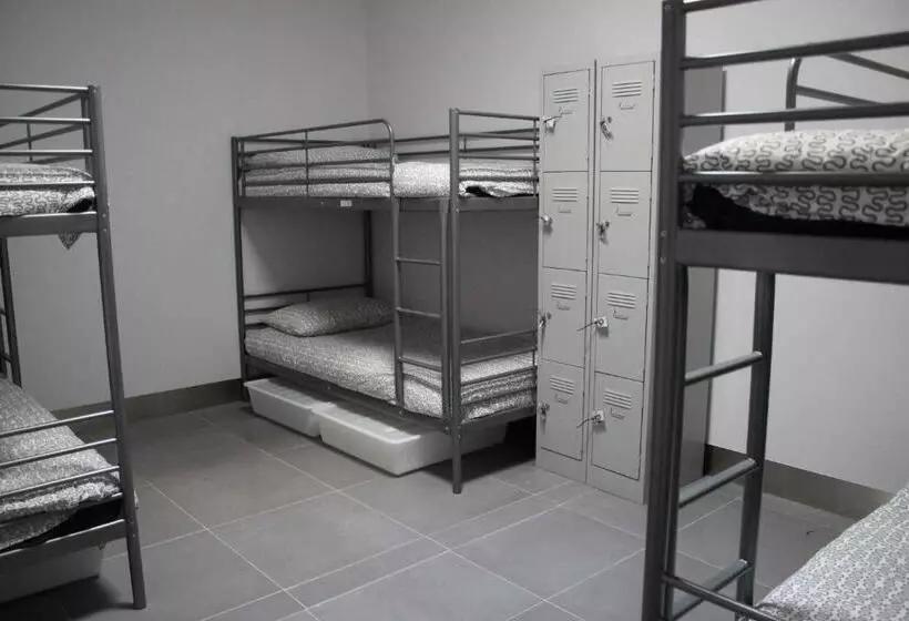 Quokka Backpackers Hostel Perth Note Valid Passport Required To Check In