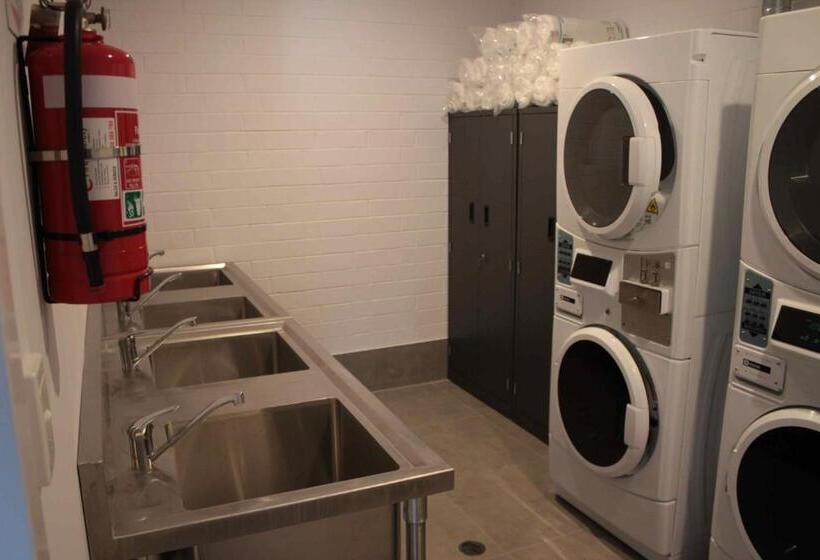 Quokka Backpackers Hostel Perth   Note   Valid Passport Required To Check In