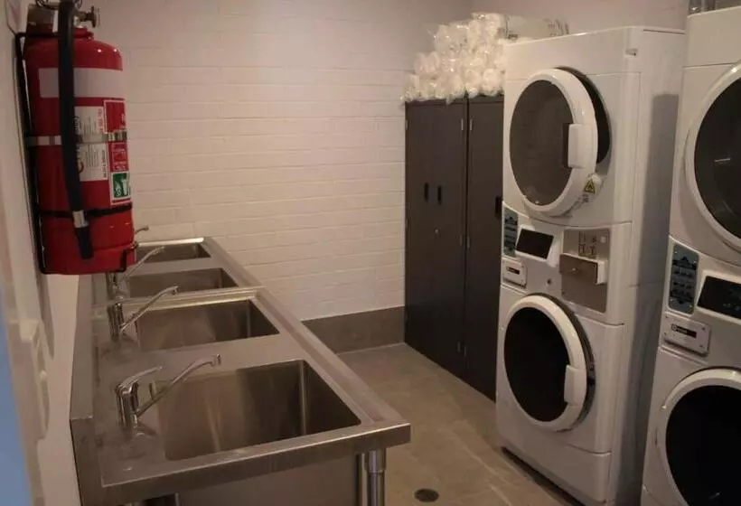 Quokka Backpackers Hostel Perth Note Valid Passport Required To Check In