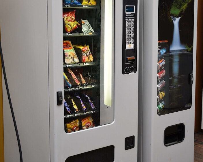 Taupo Urban Retreat   Hostel