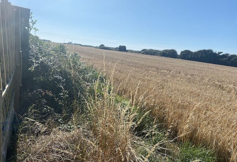 Beautiful 1 Bed Studio In Porthcawl Near Beach