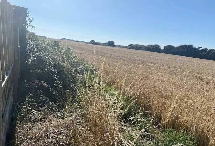 Beautiful 1 Bed Studio In Porthcawl Near Beach