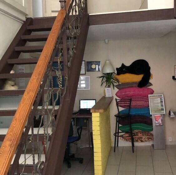 Hostel Kot Na Krishe