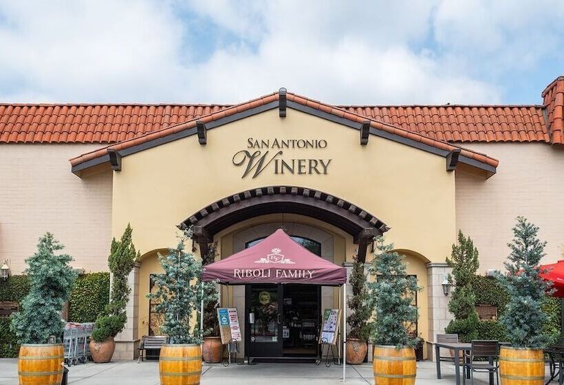 בית מלון כפרי Historic City View Suites