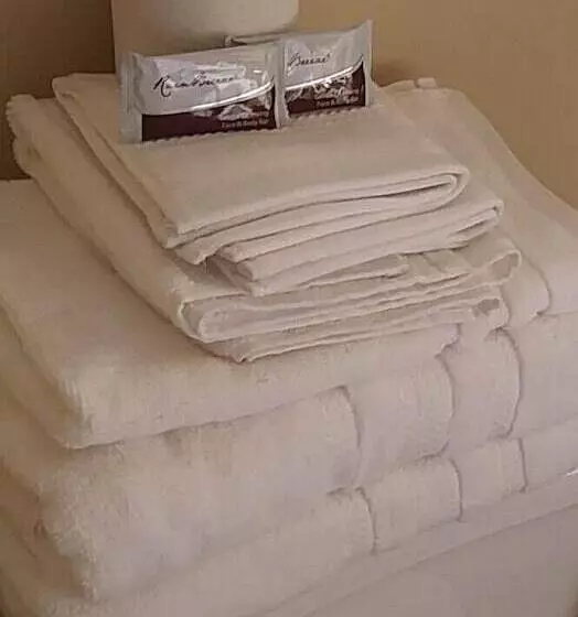 ホテル Historic City View   Suites