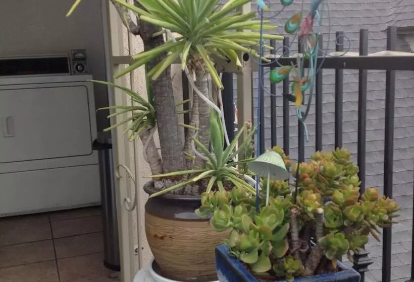 ホテル Historic City View   Suites