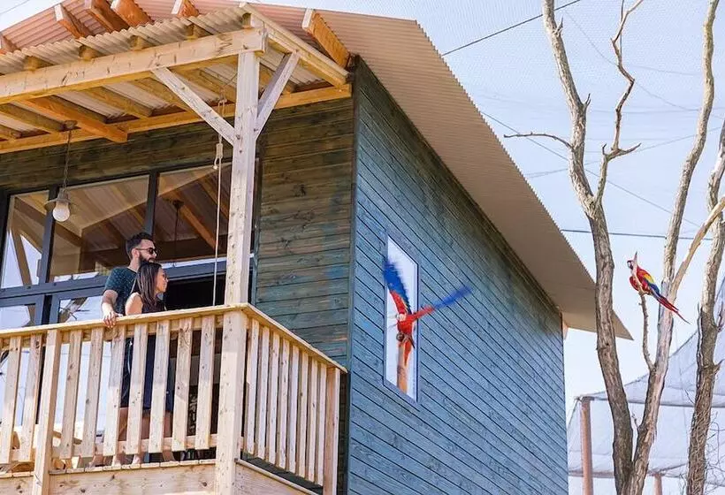 Hotelli Les Lodges   Parrot World